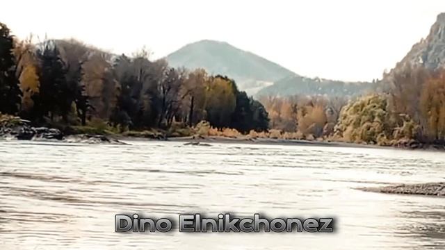 1000021764.mp4