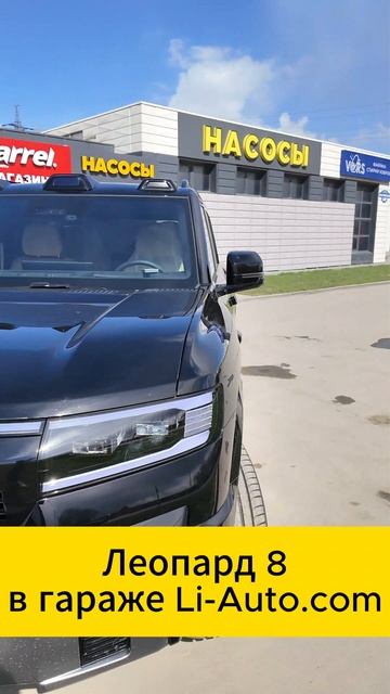 Leopard 8 в нашем гараже