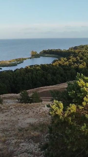 КУРШСКАЯ КОСА
ОЗЕРО ЛЕБЕДЬ