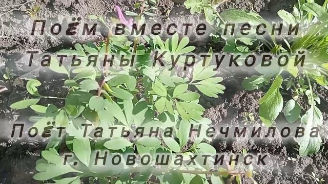 народное творчество "Наливное яблочко", песня из репертуара Татьяны Куртуковой. #наливноеяблочко