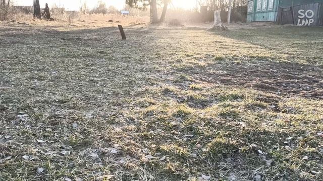 Поиск монет на полянке одного дома прошел удачный даже уходить не хотелось