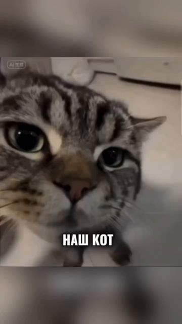 Короче...