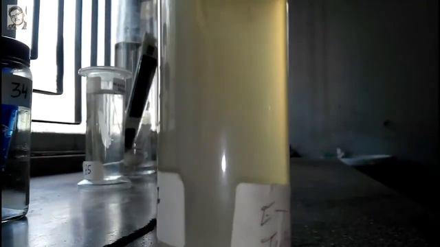 Lab Specimen Tubifex