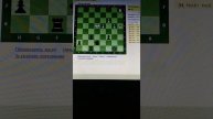 БЛИЦ ЗААРКАНИЛ КОНЯ ШАХМАТЫ CHESS