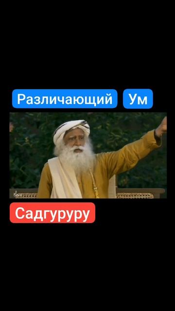 Различающий ум.mp4