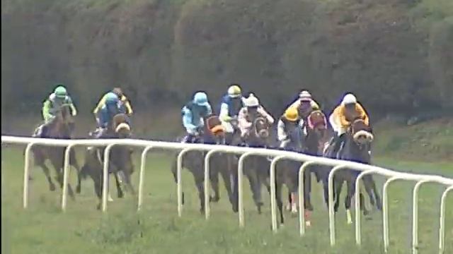Shield Maiden with Ashhad Asbar up wins The Blue Mountain Cup 2019