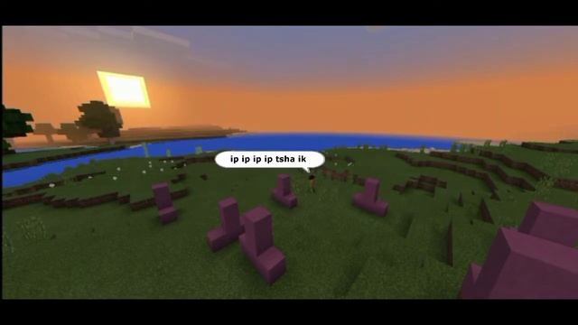 Turi ip ip ip