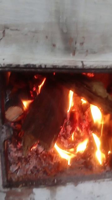 VID_20250418_115618.mp4