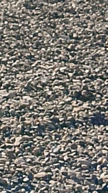 карина