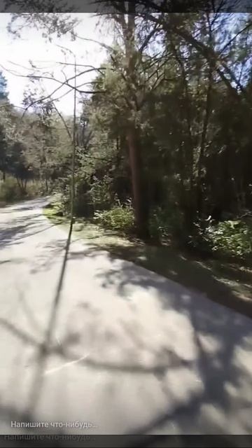 1000055595.mp4