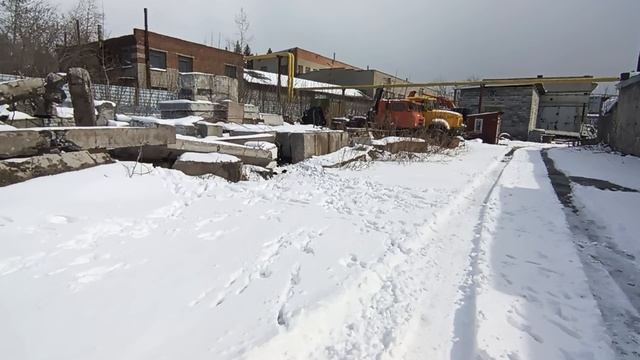 Приручаю бездомных собак. Цель пристроить в добрые руки или приют.