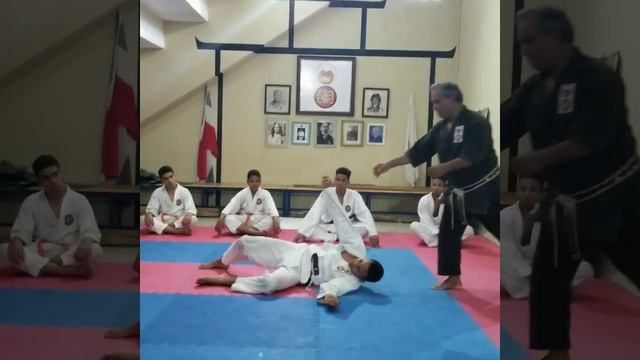 Yakusoku Ippon  Kumite   (No.  17)