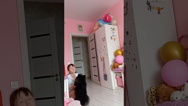 вальс с собакой