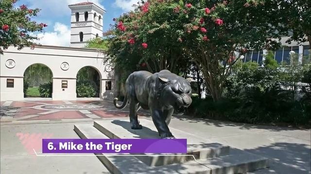 Top 10 Best Tourist Places To Visit In Baton Rouge, Louisiana | USA - English