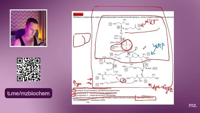 СЛОЖНЫЕ ЗАДАНИЯ. КОЛЛОКВИУМ ПО БИОХИМИИ: ПРОСТЫЕ БЕЛКИ 1 ЧАСТЬ // На Биохимическом