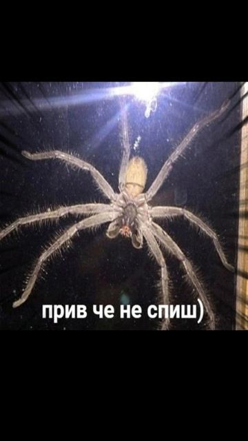 весна хорошо,но #shorts #spring #весна