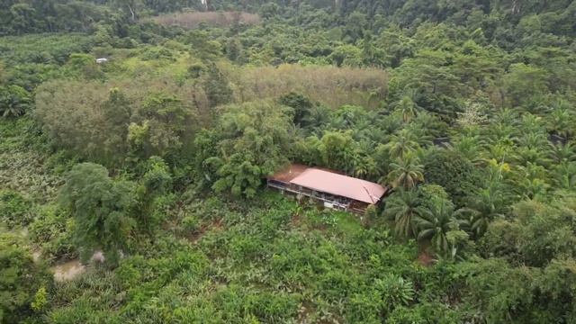 Anurak Community Lodge @ Khao Sok Thailand