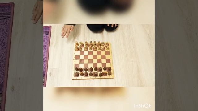 учим шахматы, обзор фигур
