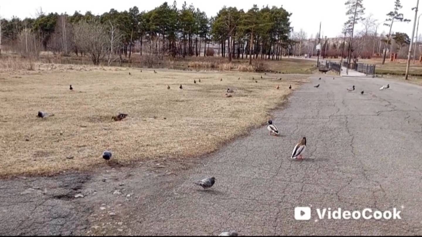 Удивительное рядом!