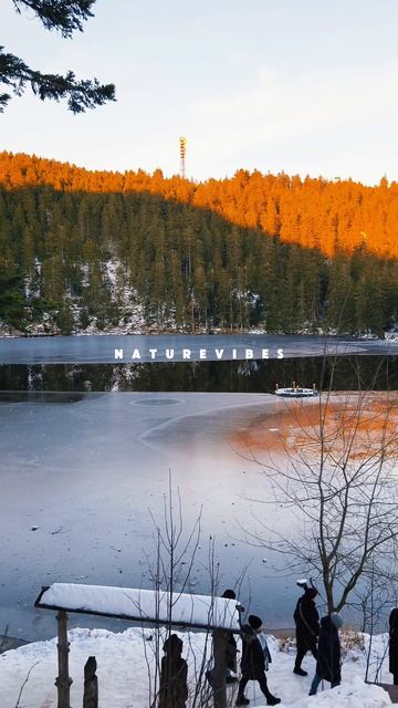 Naturevibes #nature #vibes #germany #walk #beautifull #wald #snow #badenwürttemberg