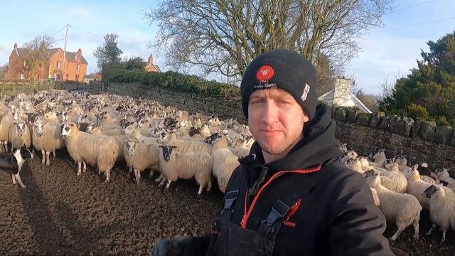 A MASSIVE DAY IN THE FARMING CALENDAR!