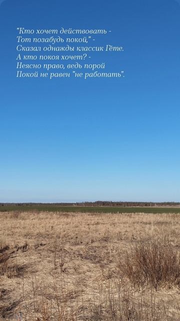 19.04.25 АЗ #ниднябезрифмы
