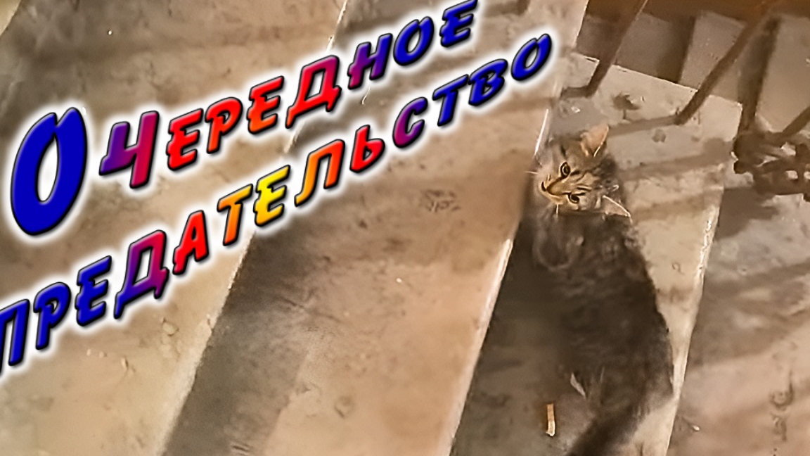 ОЧЕРЕДНОЕ ПРЕДАТЕЛЬСТВО.