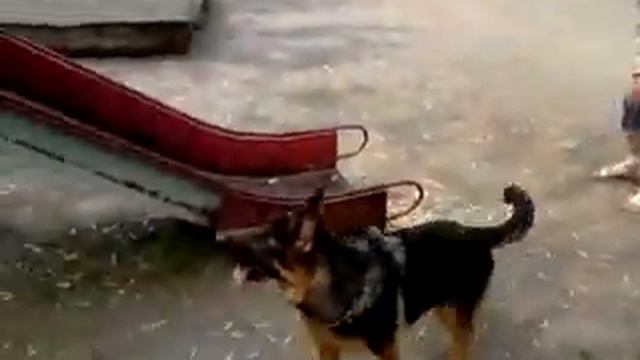 V230509 13 37 mpeg4