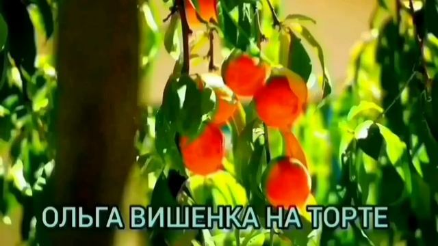 НОВЫЕ СЕКРЕТИКИ И ПРИСТРАСТИЯ. ОЛЮНЯ И КОТЮНЯ. ОБЗОР ВЛОГА.