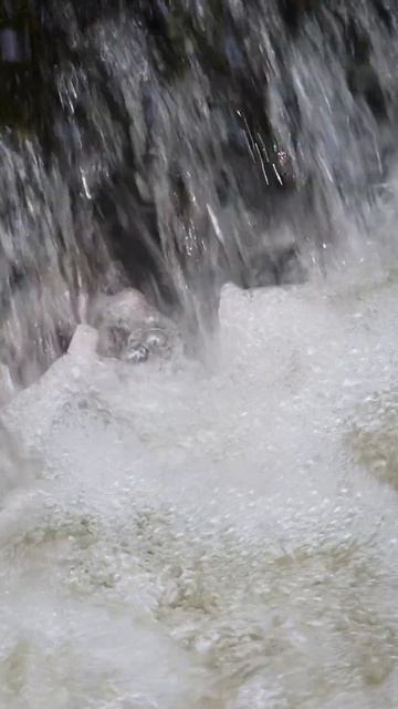 Flowing Free - Shorts 3