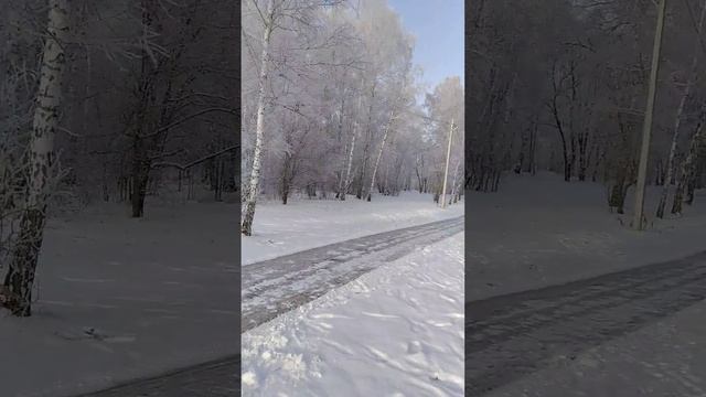 Парк г.Пласт