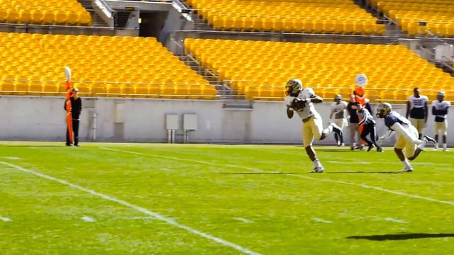 Pitt Football Scrimmage at Heinz Field | April 2, 2016
