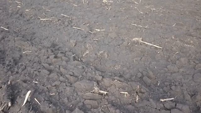 Плуг ПЛН может пахать хорошо!