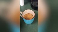 Я не любитель пончиков!? Donuts from the store!