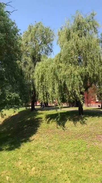 Ворота Брестской крепости