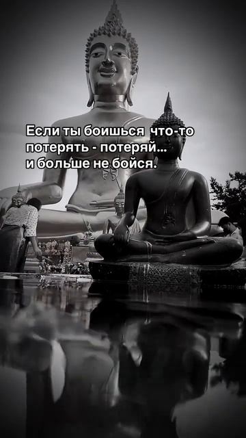 Не бойся терять
