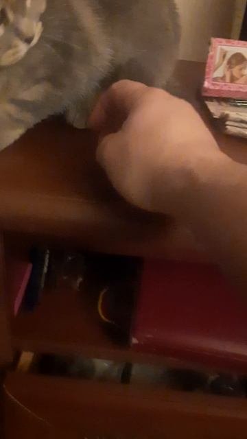 Соня играет