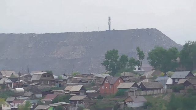 Лебеди прилетели.