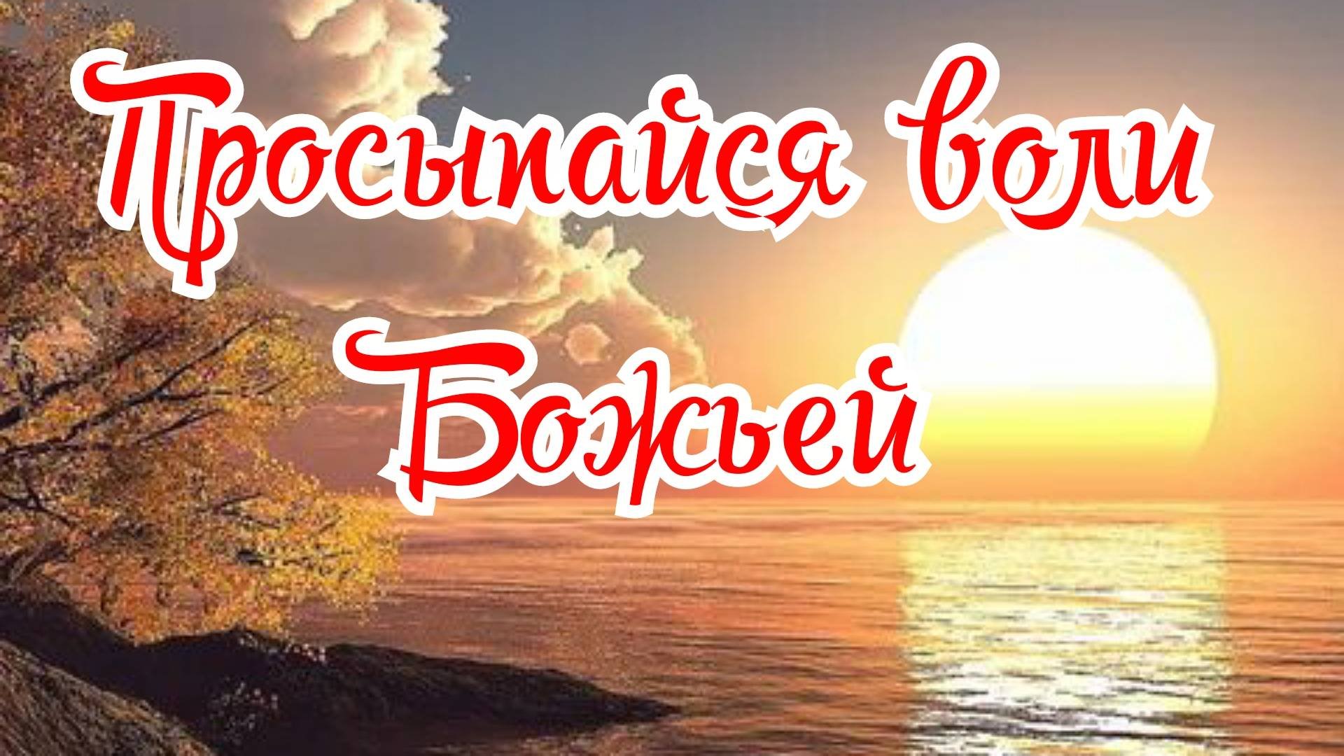 Просыпайся воли Божьей. Молитвенные лействия. 19.04.25г.