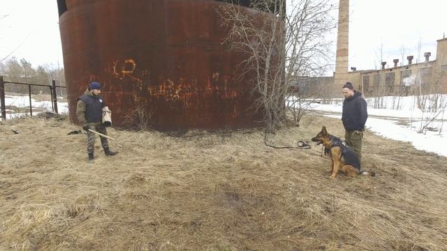Послушание в защите (Читайте описание к ролику).