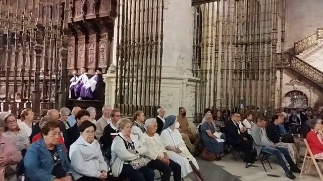 Eucaristía en la fiesta de la Exaltación de la Santa Cruz en la Catedral de BurgosVER AQUÍ: https:/