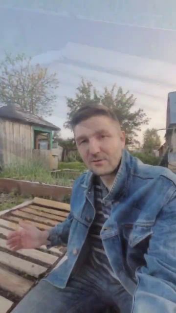 Как поливаем морковь? #дача #огород #деревня #морковь