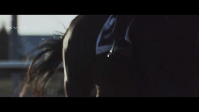 Revolution || Equestrian Music Video