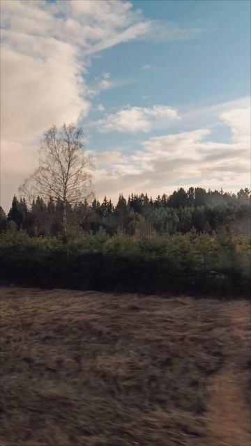 Дорога домой 🤗❤️