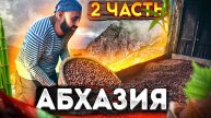 Абхазия | 2часть | Орехи "Фундук" | Море | Киви | Бамбук
