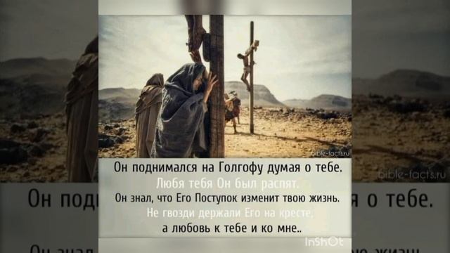 1000097853.mp4 КТО СКАЗАЛ, ЧТО ДУША НЕ БОЛИТ.  Читает Новожилова З.Г.  Автор Вера Сок.