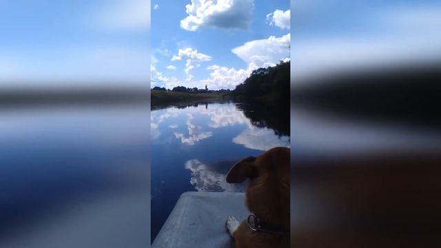 Вниз по Днепру к деревне Митюково.