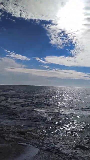 Приехал купаться на Азовское море в станицу Должанская 26 сентября 2022
