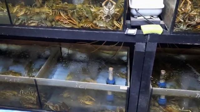 живые раки, снижение цен.