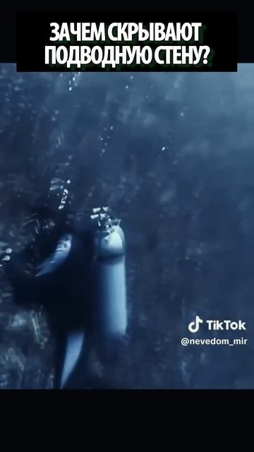 КТО ПОСТРОИЛ ОГРОМНУЮ ПОДВОДНУЮ СТЕНУ